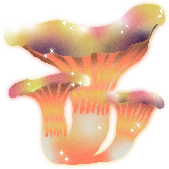 Dreamy Psychedelic Mushrooms